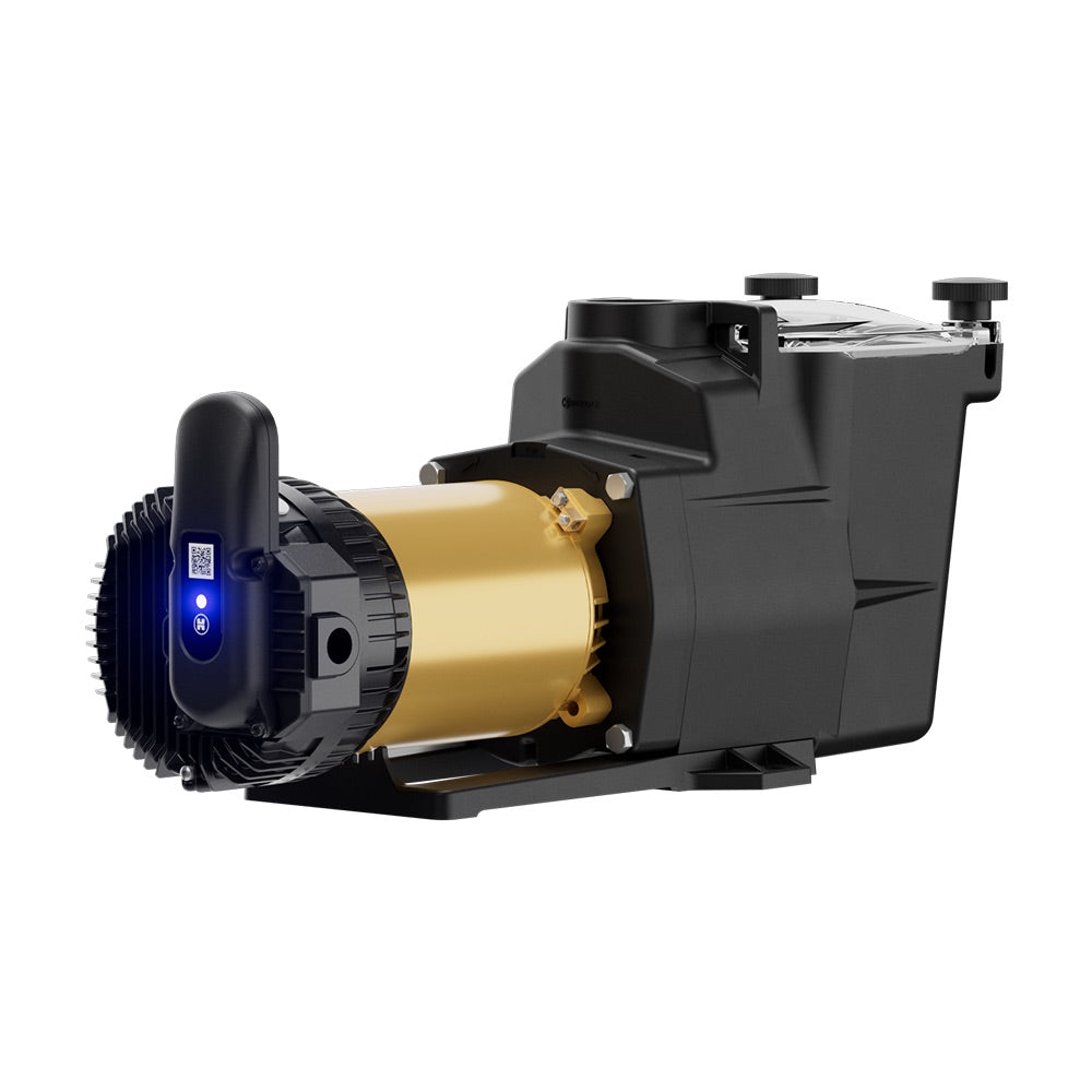 Hayward W3VSP26620 SUPER PUMP VS 620 OL With OMNIX