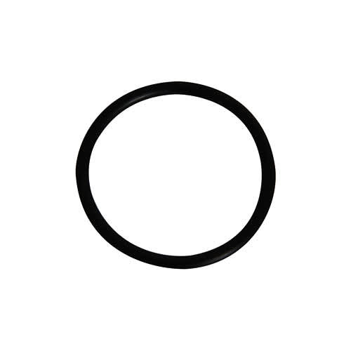 Hayward O-Ring | SPX1022CZ2