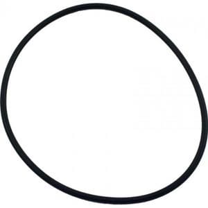 Hayward O- Ring | SX200Z6