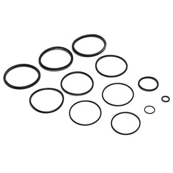 Zodiac R0358000 O-Ring Replacement Kit for Select Zodiac D.E. and Cartridge Pool and Spa Filters