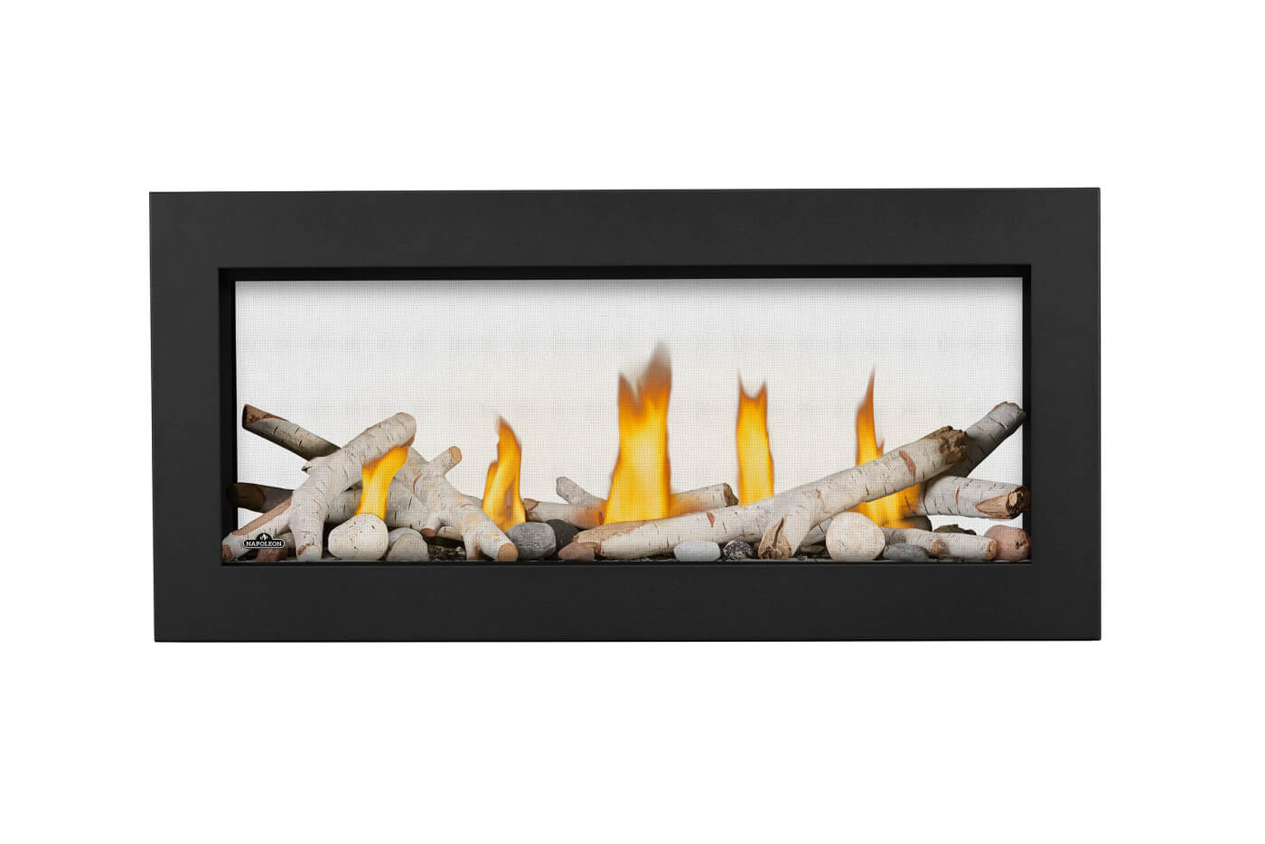 napoleon-lv38n2-1-vectorâ„¢-38-see-through-direct-vent-natural-gas-fireplace