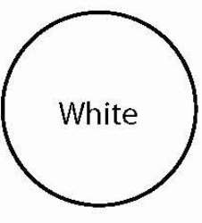 Olympic No. 2222 White Poxolon Epoxy For | 2222G