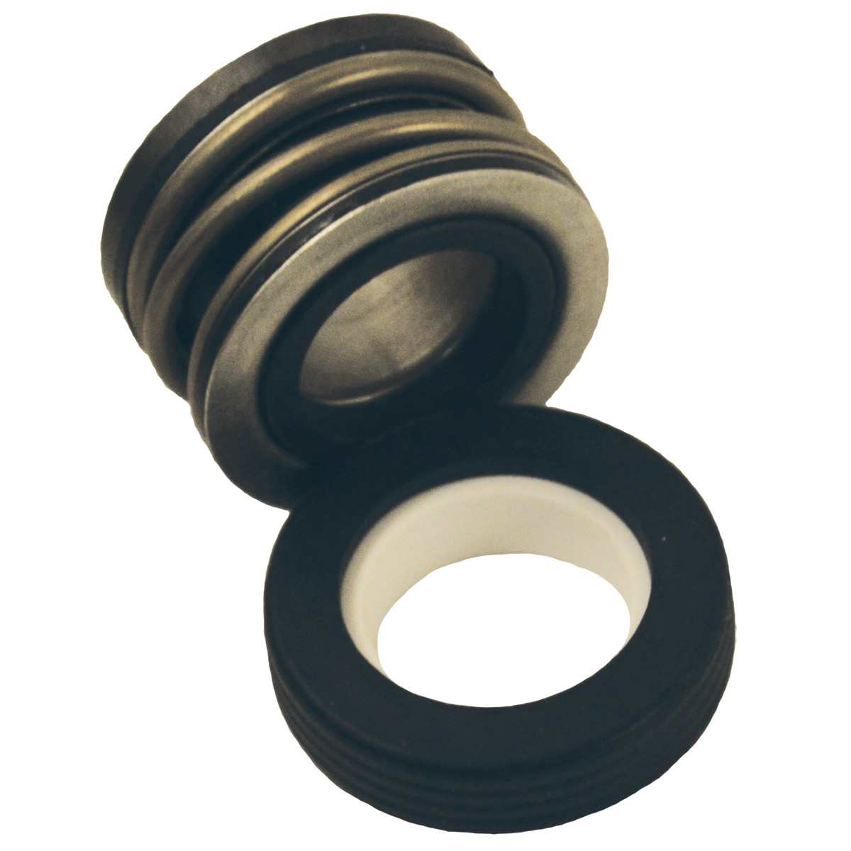 Pentair Seal Pkg .75In | 17351-0101S