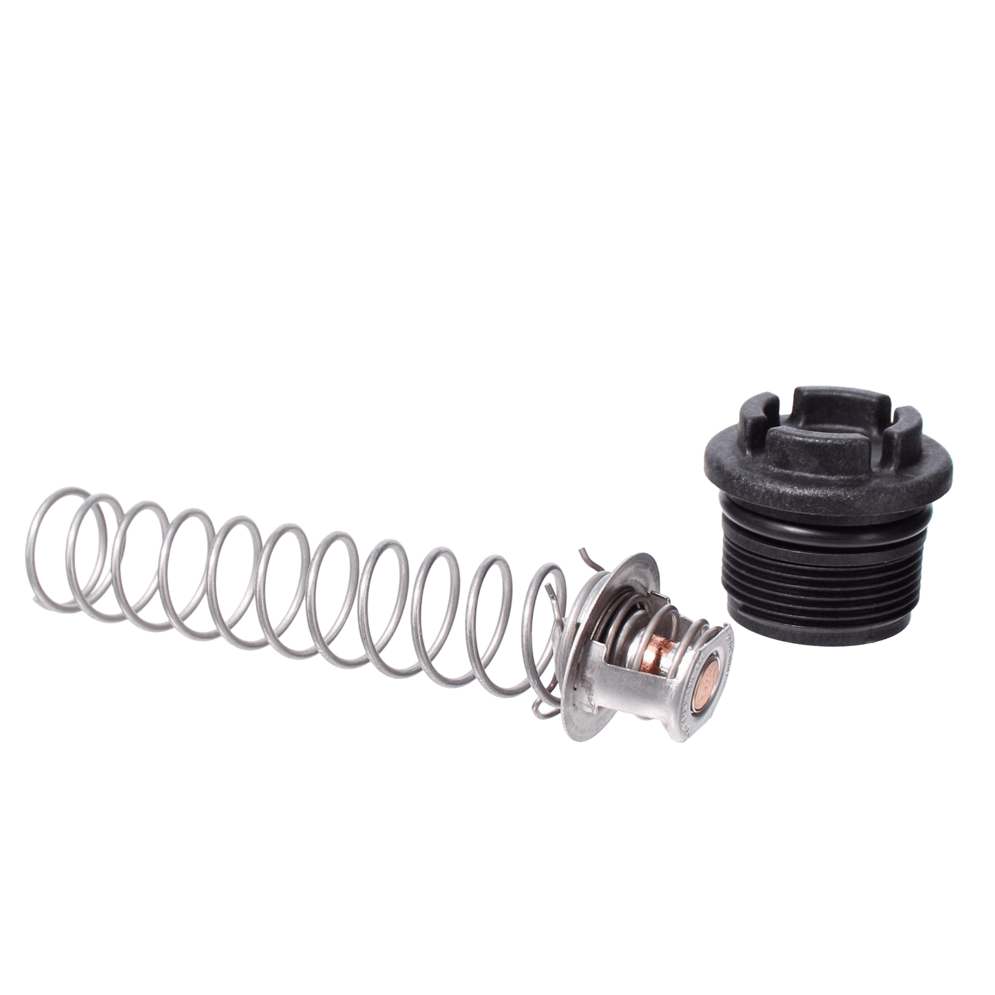 Pentair Thermal Regulator Package | 77707-0010