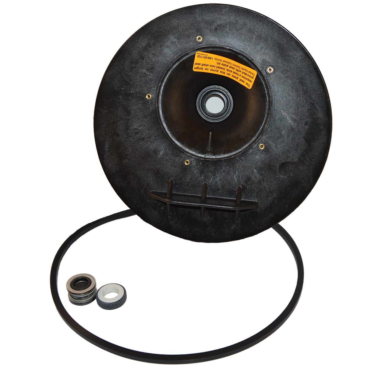 Sta-Rite Pentair Seal Plate Kit, DuraGlas #C203-193P
