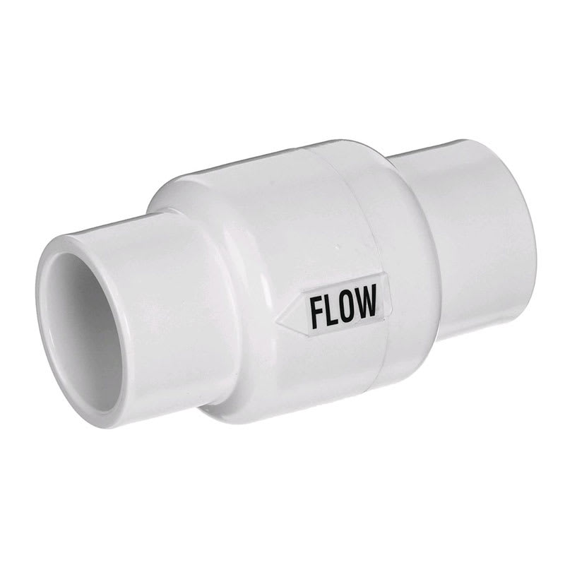 Pentair Valve Check 1 1/2-2" 2 | R172288