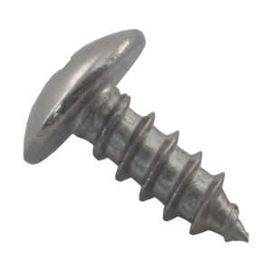 Pentair Screw | R172375