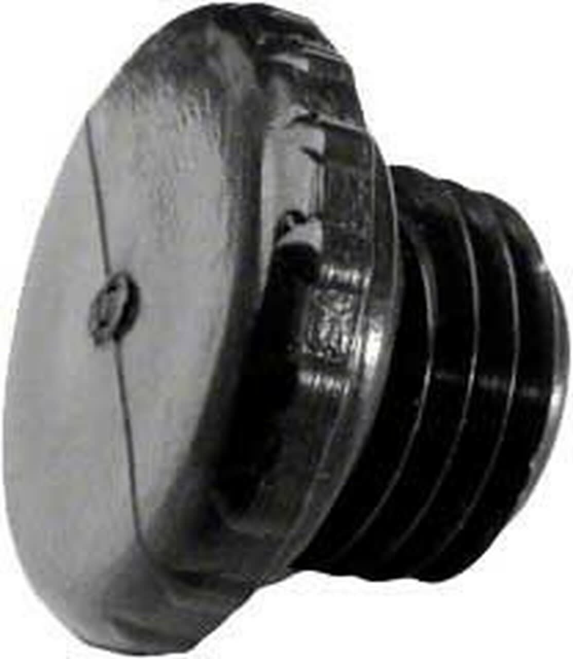 Pentair Plug AcceSS 1/4"Mpt | R172392