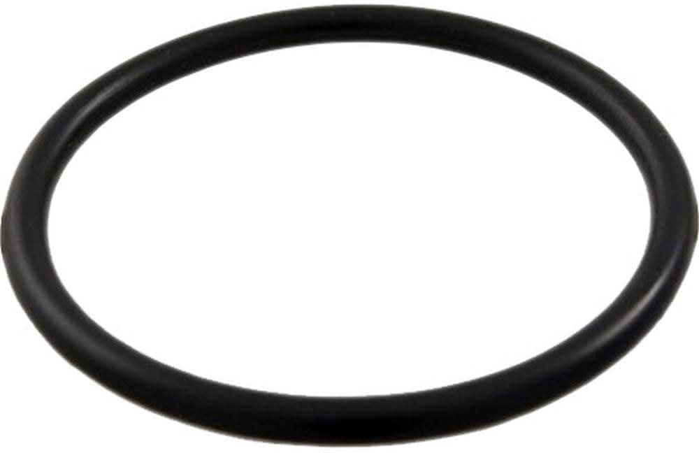Waterway Plastics O-Ring, #224 -Sand | 805-0224