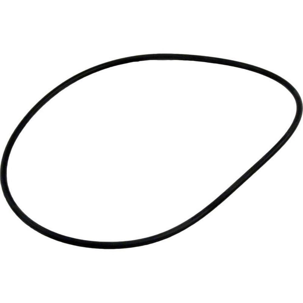 Waterway Plastics Lid Oring | 805-0254
