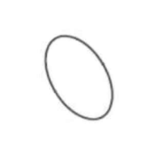 Waterway Plastics O-Ring For Hi-Flo Pump | 805-0256