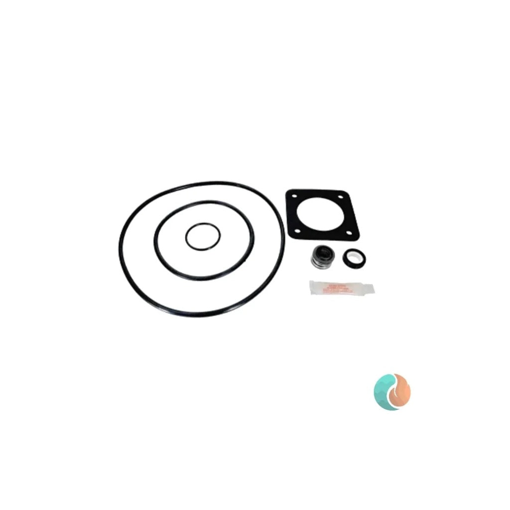 Aladdin Pump Seal O-Ring Kit, for Pentair SuperFlo | GO-KIT54