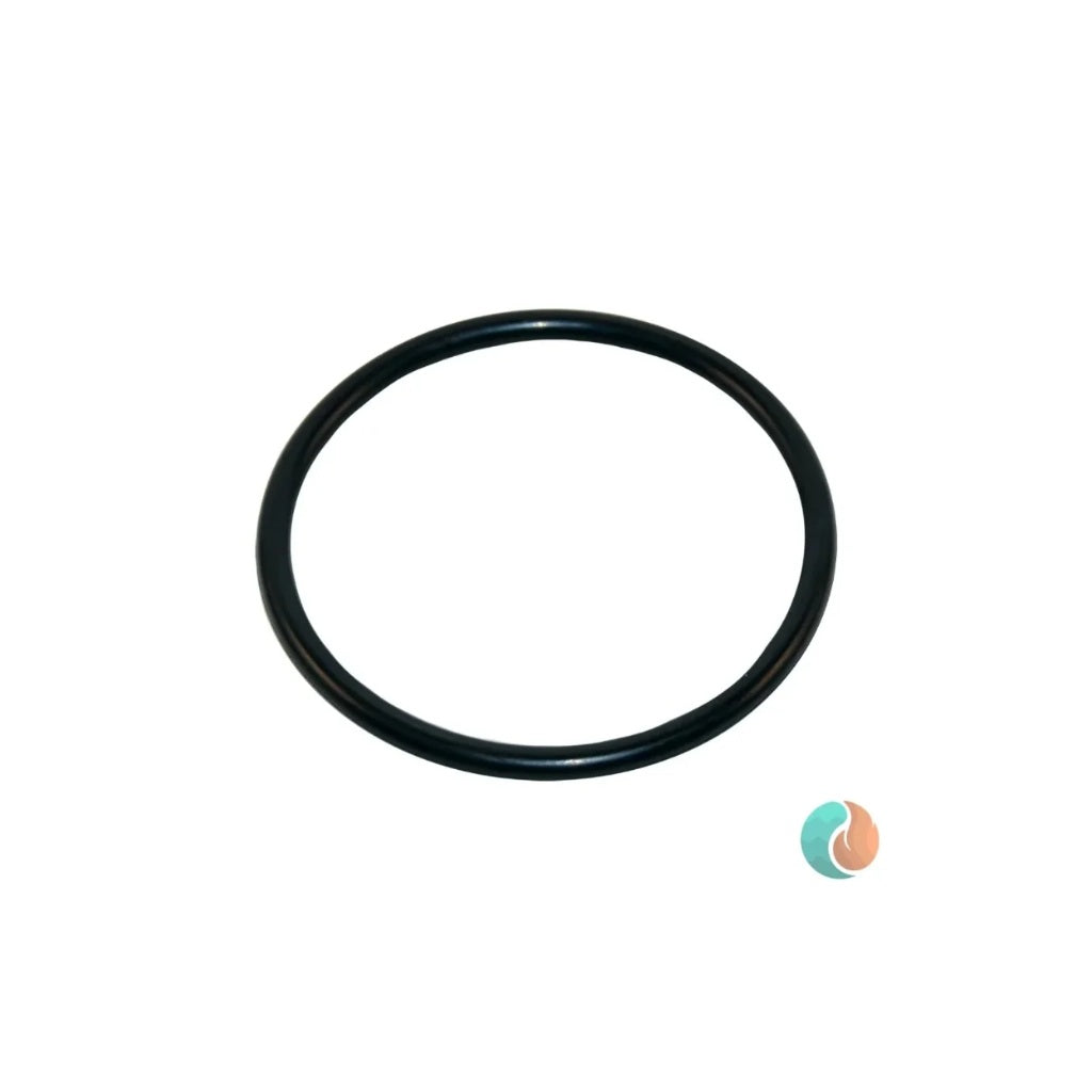Aladdin O-Ring | O-49