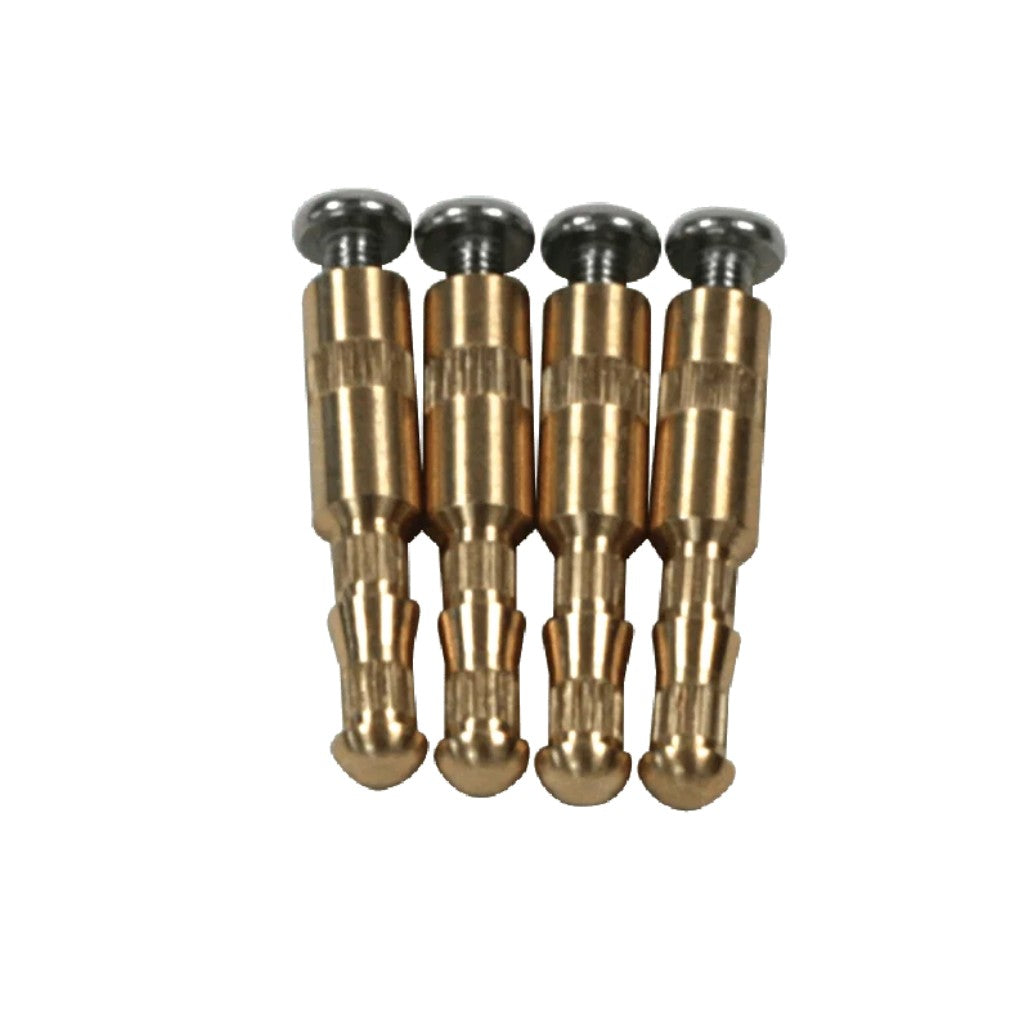 AquaStar Brass Inserts and Stainless Screws, Set of 4 | BIK4