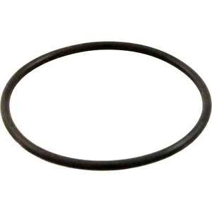 Hayward Gauge Adapter O-Ring, model ECX1287