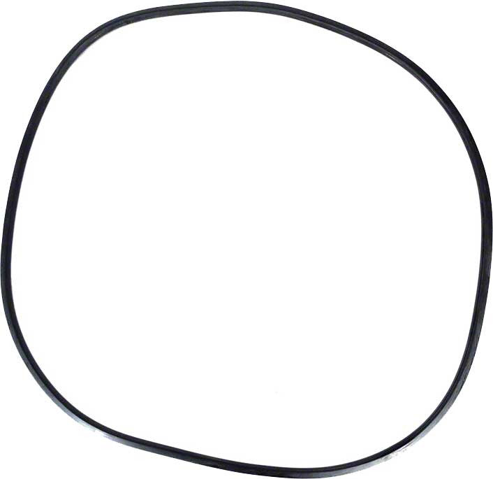 Pentair FNS DE Filter Tank O-Ring, Replacement