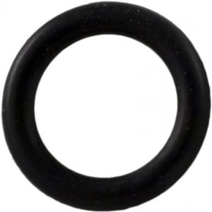 Pentair Drain Plug O-Ring for Pump, model LA375