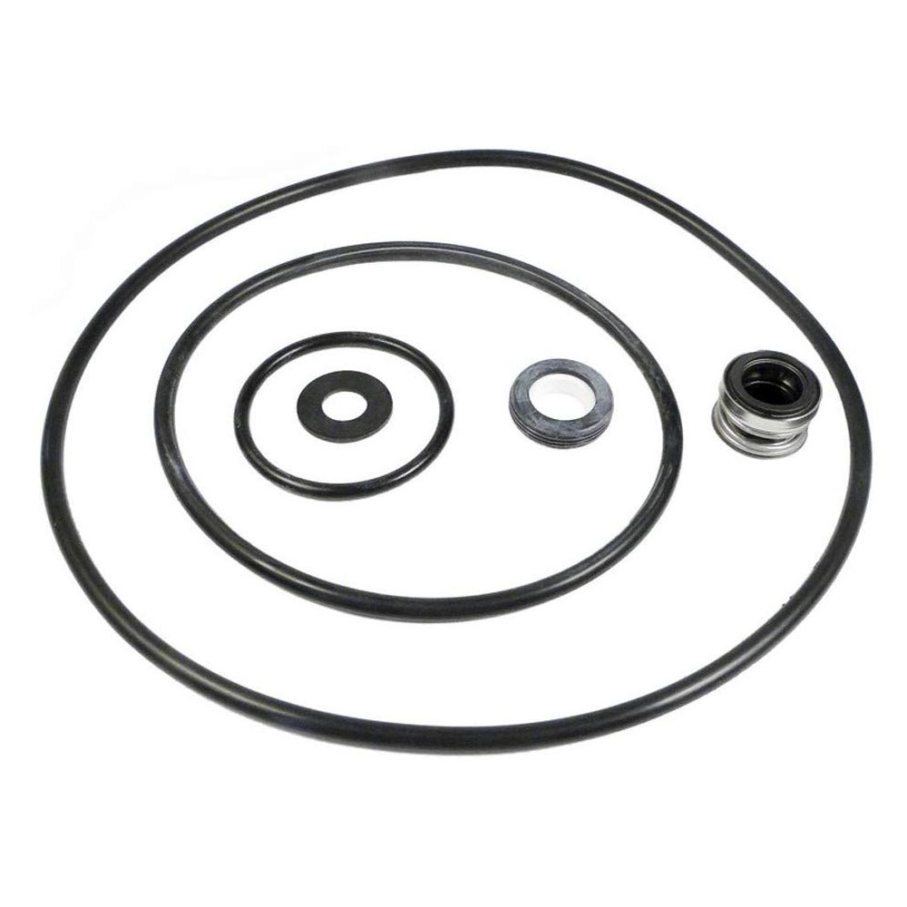 Pentair Parts Pak Seal and O-Ring Kit, model PP4200