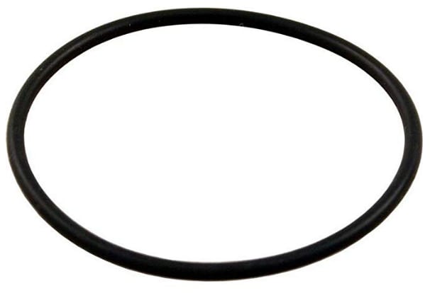 Pentair Pump O-Ring, model 51013500
