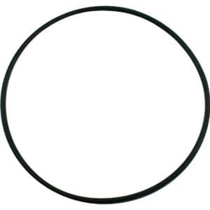 Pentair O-Ring, 2-368, for Pump, model 355619Z
