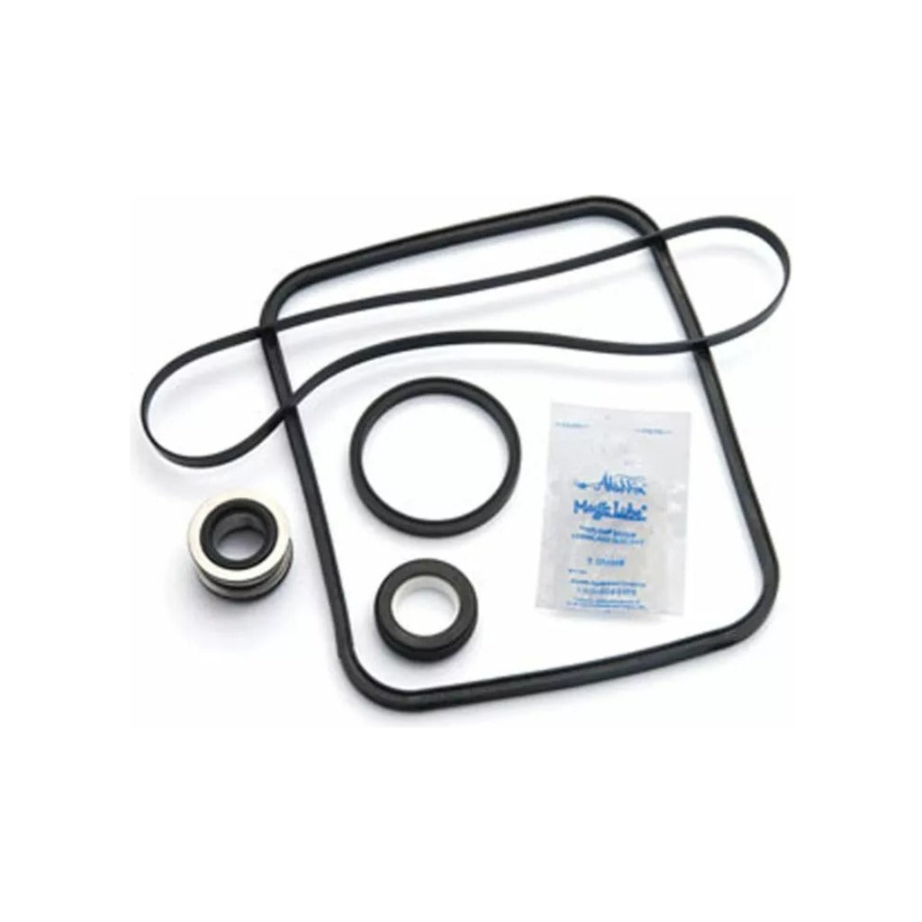 Aladdin Pump Repair Kit, for PacFab Pinnacle | GO-KIT24