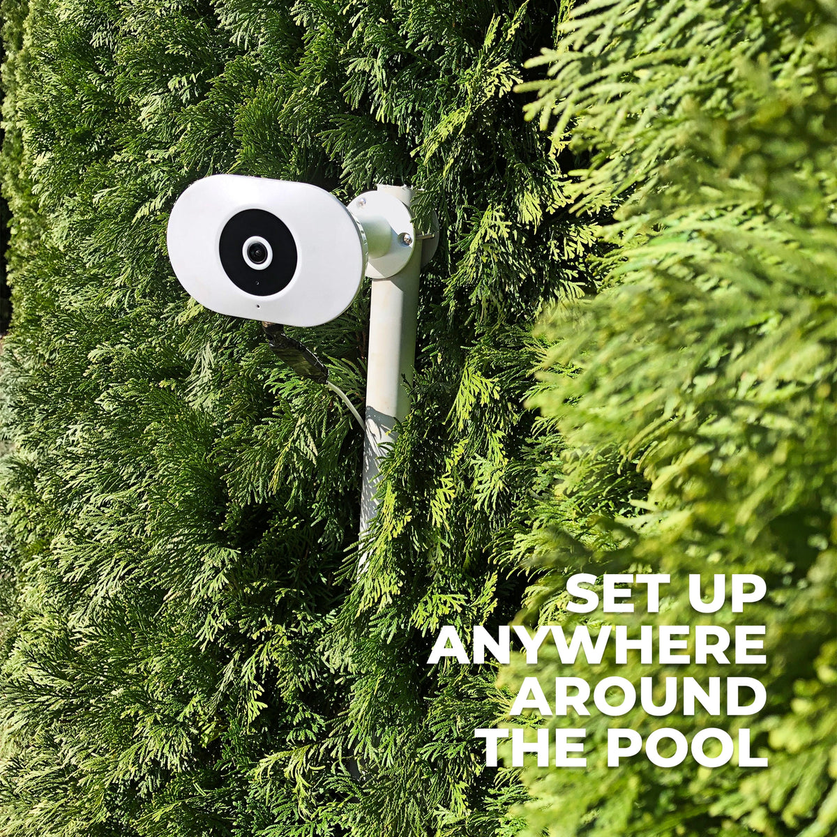 White pool camera mounted against tall green hedging beside a pool