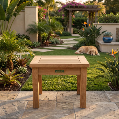Anderson Teak Bahama 20" Square Mini Table