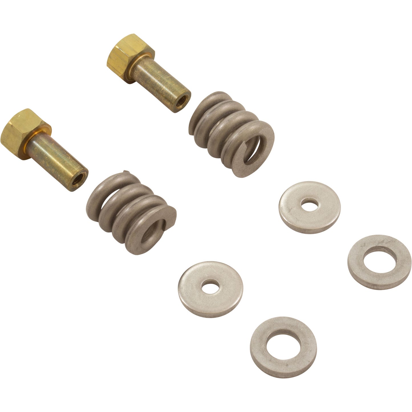 Pentair 181010 FNS Clamp Spring Kit Replacement