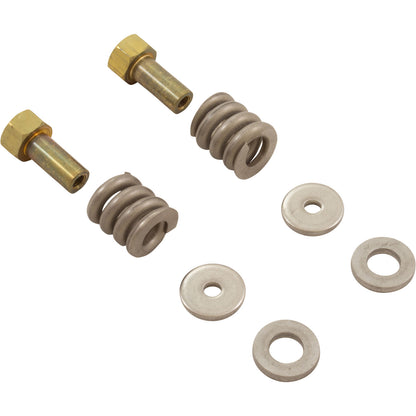 Pentair 181010 FNS Clamp Spring Kit Replacement