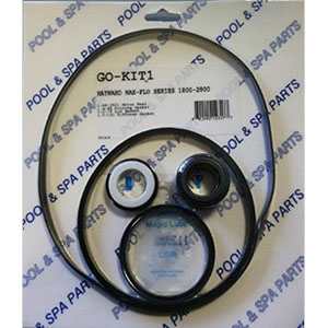 Aladdin Hayward Maxflo 1800-2800 | GO-KIT1