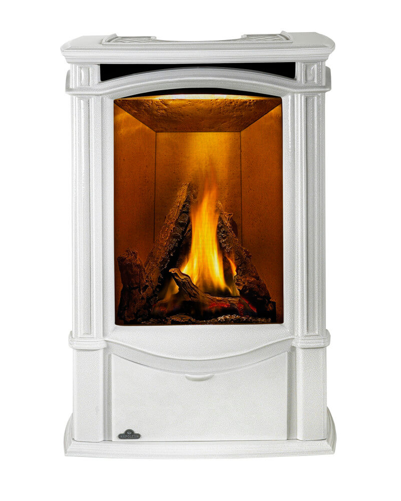 napoleon-gds26nw-1-castlemore-direct-vent-natural-gas-stove