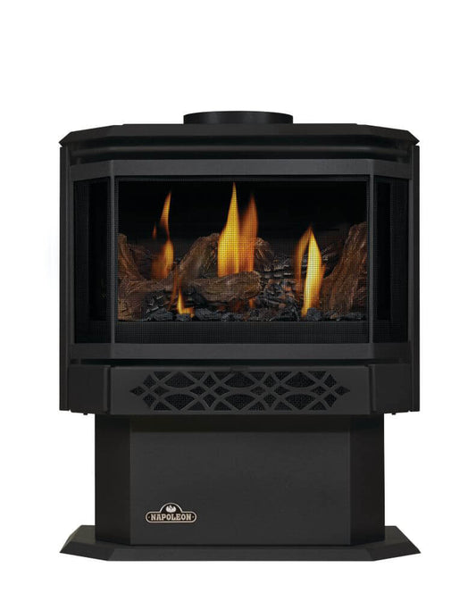 napoleon-gds28-1nsb-haliburton™-direct-vent-natural-gas-stove-millivolt-ignition