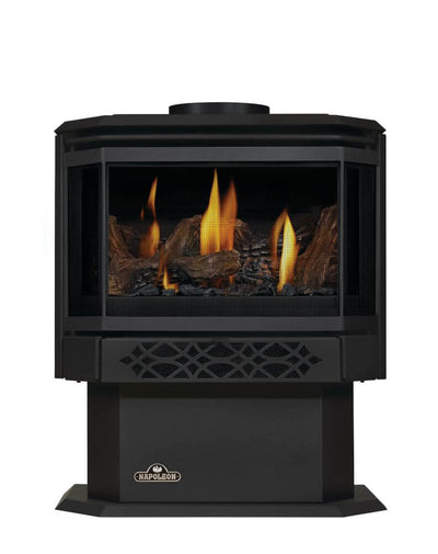 napoleon-gds28-1nea-haliburton™-direct-vent-natural-gas-stove-alternate-electronic-ignition