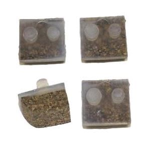 Hayward Cork Shoe Kit 4-Pack | AXV014FNP