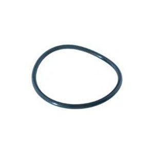 Hayward Cover O-Ring -Viton- | CLX110K