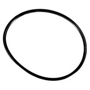 Hayward Cover O-Ring -Viton- | CLX200K