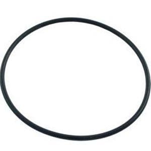Hayward CX120D Tank O-Ring | CX120D