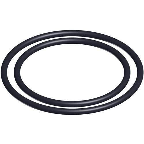 Hayward O-Ring Kit -Set Of 2- | DEX2420Z8A