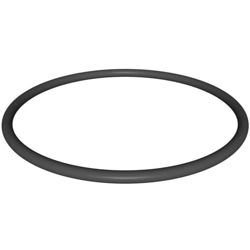 Hayward O-Ring -Radius Conn- | DEX360M
