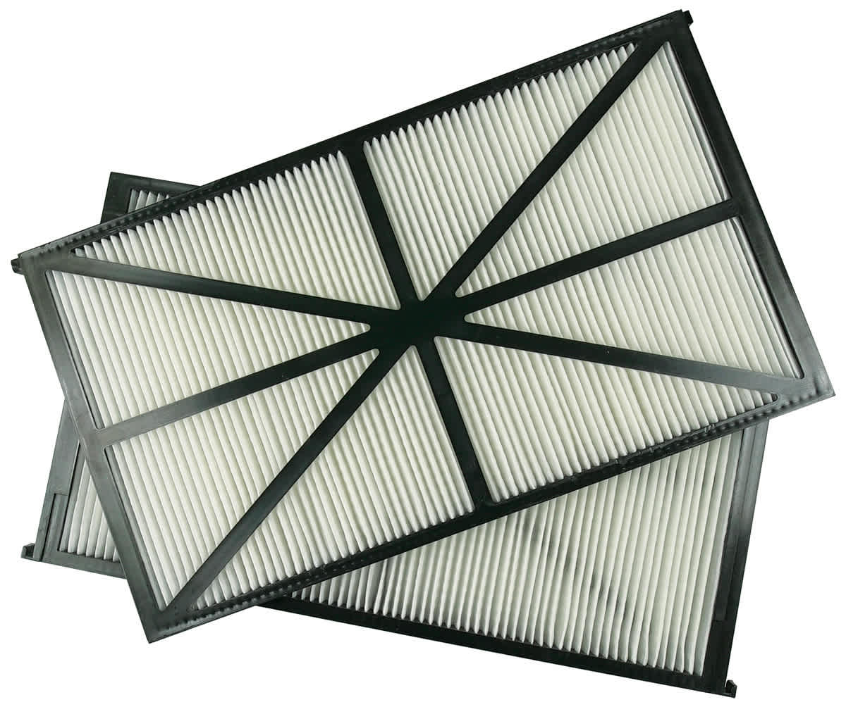 Hayward Filter Cartridges (Set Of 2) | RCX70101PAK2