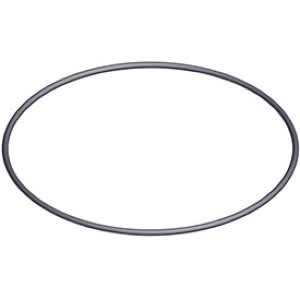 Hayward Cover O-Ring | SPX0715Z1