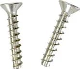 Hayward Screw Set | SPX1030Z1A