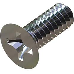 Hayward Cover Screw | SPX1082Z1