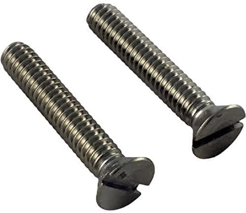 Hayward Screw (Pack Of 2) | SPX1084Z9
