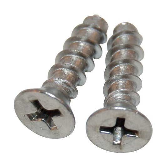 Hayward Set 2 Grate Screws | SPX1425Z32