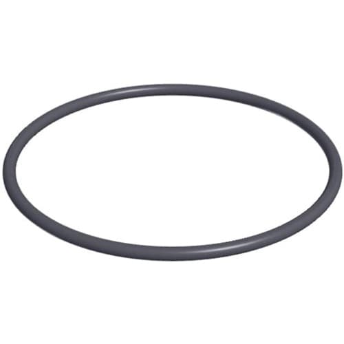Hayward O Ring | SPX1500P