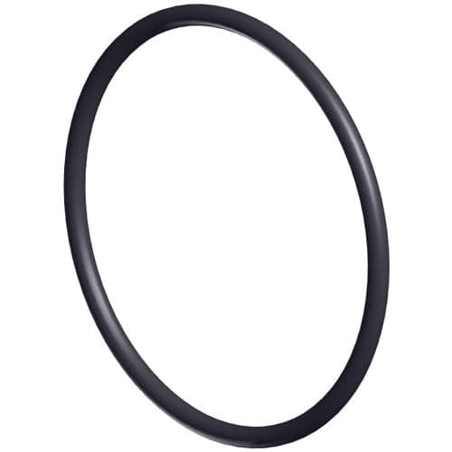 Hayward Strainer O-Ring | SPX1500W