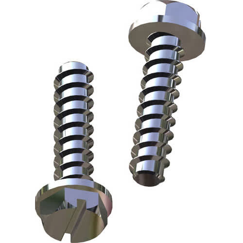 Hayward Mtg Foot Cap Screw-Set 2 | SPX1600Z52