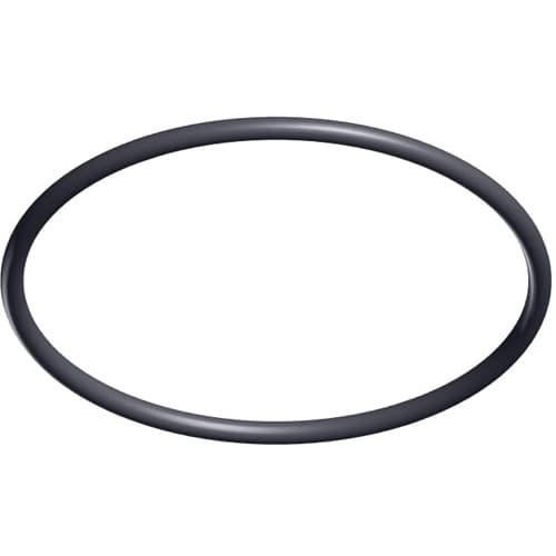 Hayward O-Ring-Strainer Cover For TriStar and EcoStar Pumps  | SPX3200S