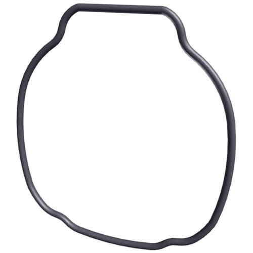 Hayward O-Ring-Housing For Select TriStar and EcoStar Pumps | SPX3200T